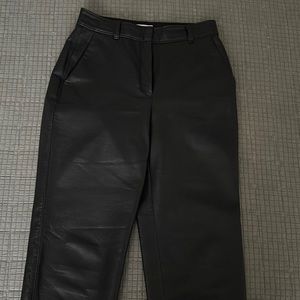 Aritizia Babaton Leather Pants